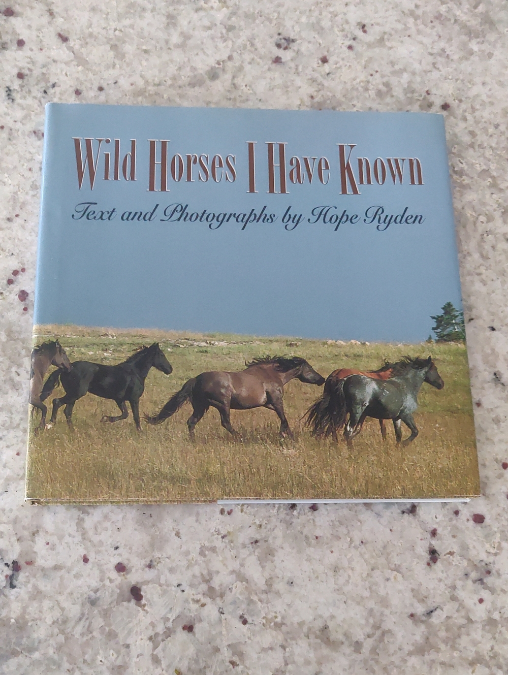 Wild Horses I Have Known by Hope Ryden - Blue Hardcover Coffee Table Book